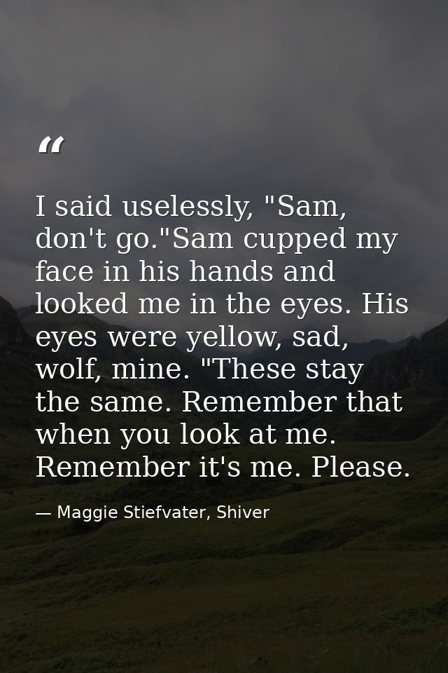 I said uselessly, "Sam, don't go."Sam cupped my face in his hands and looked me in the eyes. His eyes were yellow, sad,  — Maggie Stiefvater, Shiver