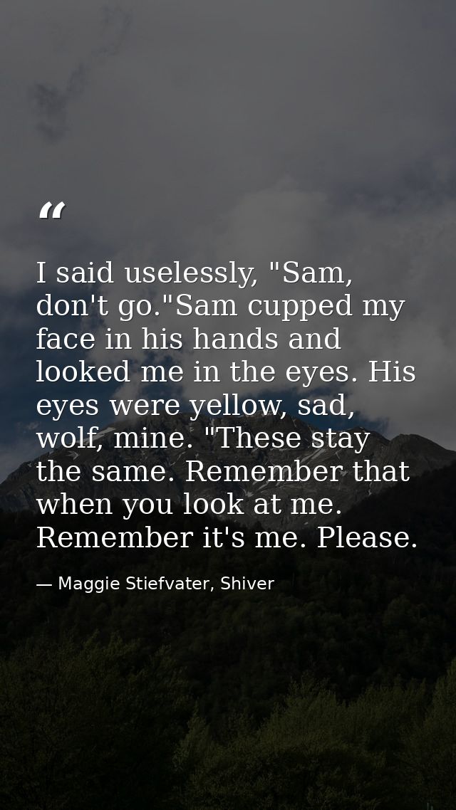 I said uselessly, "Sam, don't go."Sam cupped my face in his hands and looked me in the eyes. His eyes were yellow, sad,  — Maggie Stiefvater, Shiver