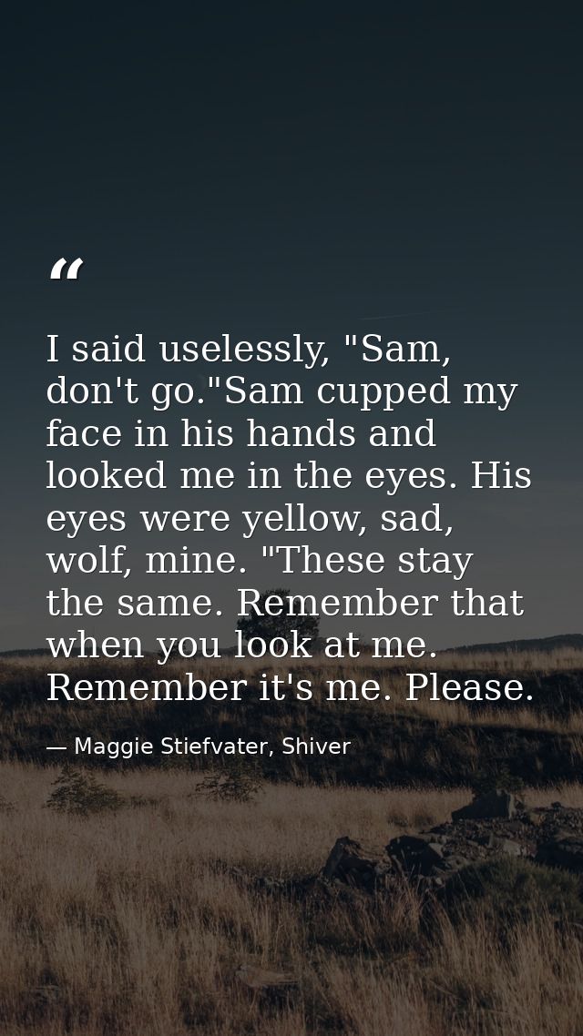 I said uselessly, "Sam, don't go."Sam cupped my face in his hands and looked me in the eyes. His eyes were yellow, sad,  — Maggie Stiefvater, Shiver