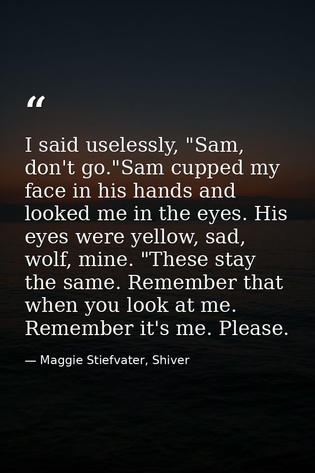 I said uselessly, "Sam, don't go."Sam cupped my face in his hands and looked me in the eyes. His eyes were yellow, sad,  — Maggie Stiefvater, Shiver