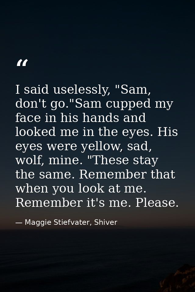 I said uselessly, "Sam, don't go."Sam cupped my face in his hands and looked me in the eyes. His eyes were yellow, sad,  — Maggie Stiefvater, Shiver