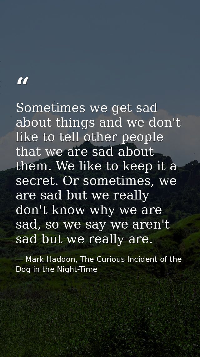 Sometimes we get sad about things and we don't like to tell other people that we are sad about them. We like to keep it  — Mark Haddon, The Curious Incident of the Dog in the Night-Time