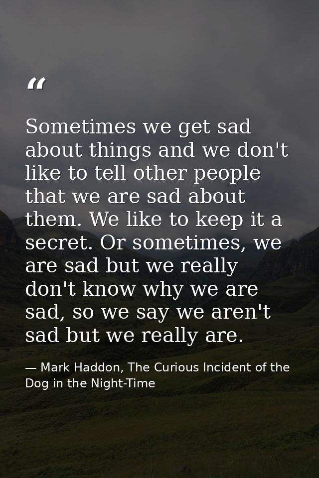 Sometimes we get sad about things and we don't like to tell other people that we are sad about them. We like to keep it  — Mark Haddon, The Curious Incident of the Dog in the Night-Time