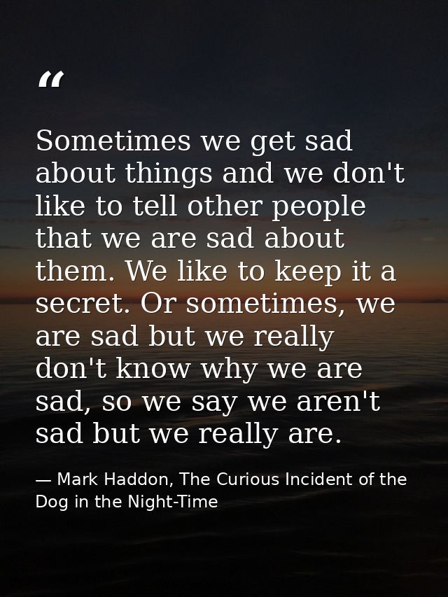 Sometimes we get sad about things and we don't like to tell other people that we are sad about them. We like to keep it  — Mark Haddon, The Curious Incident of the Dog in the Night-Time