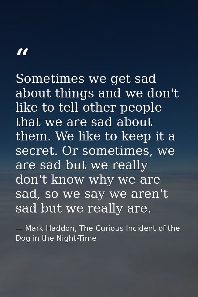 Sometimes we get sad about things and we don't like to tell other people that we are sad about them. We like to keep it  — Mark Haddon, The Curious Incident of the Dog in the Night-Time