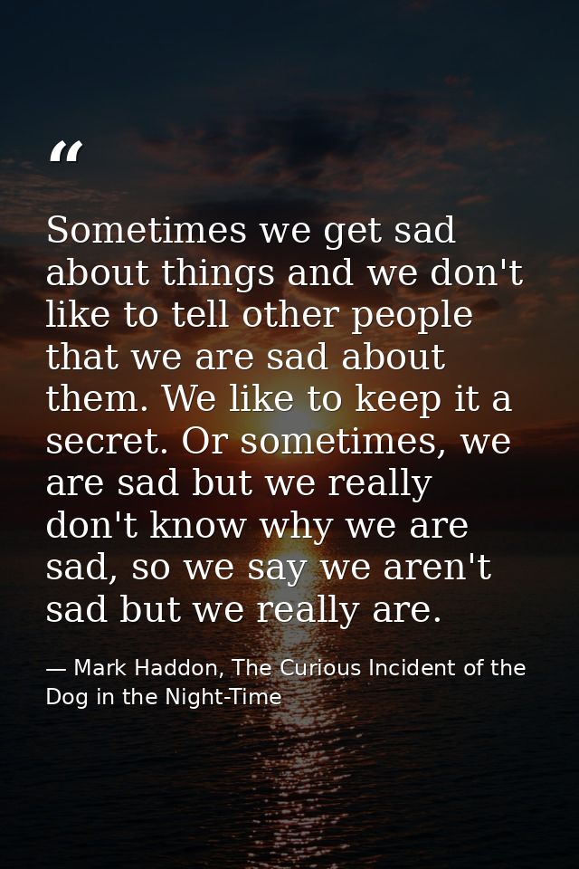Sometimes we get sad about things and we don't like to tell other people that we are sad about them. We like to keep it  — Mark Haddon, The Curious Incident of the Dog in the Night-Time