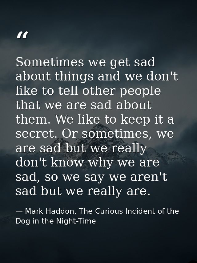 Sometimes we get sad about things and we don't like to tell other people that we are sad about them. We like to keep it  — Mark Haddon, The Curious Incident of the Dog in the Night-Time