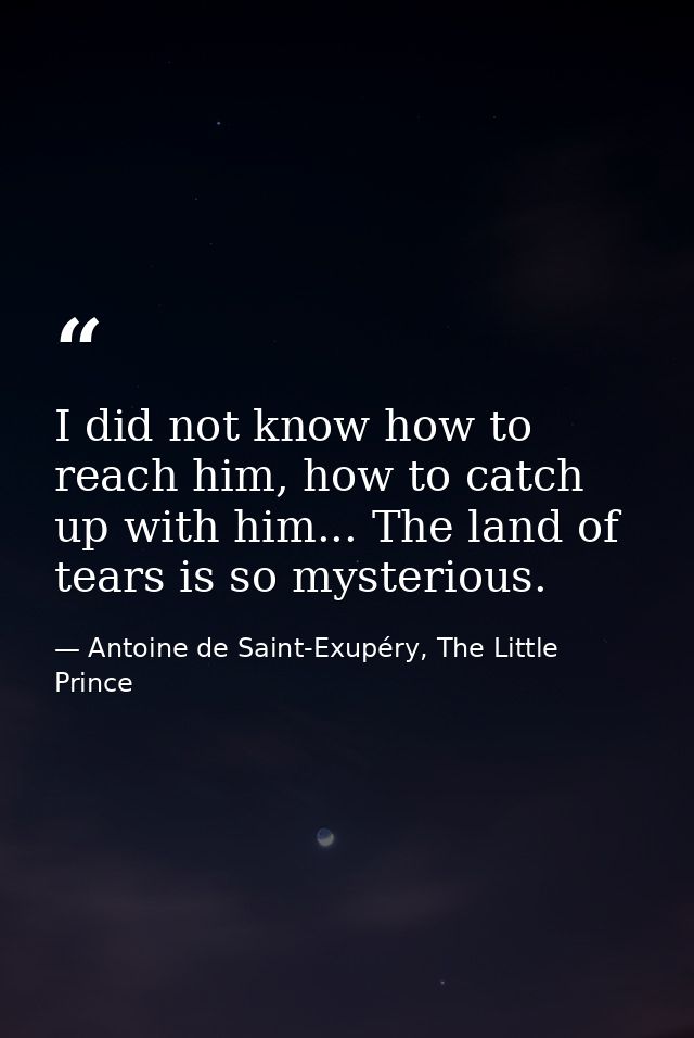 I did not know how to reach him, how to catch up with him... The land of tears is so mysterious. — Antoine de Saint-Exupéry, The Little Prince