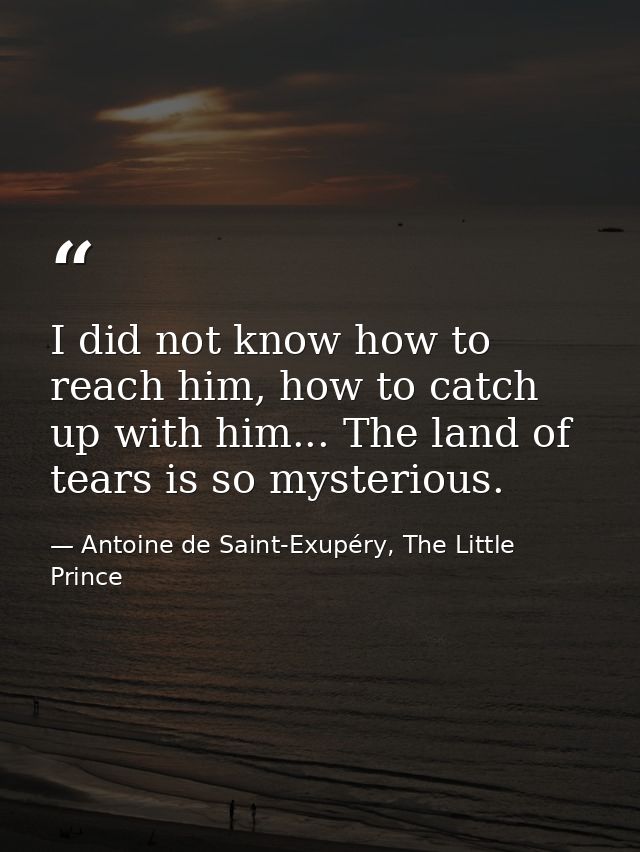 I did not know how to reach him, how to catch up with him... The land of tears is so mysterious. — Antoine de Saint-Exupéry, The Little Prince