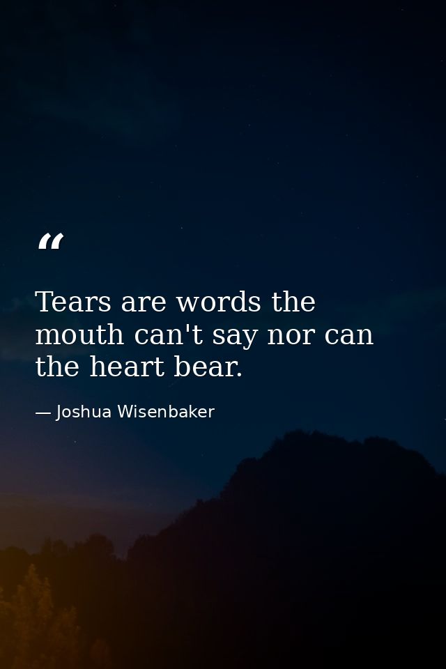 Tears are words the mouth can't say nor can the heart bear. — Joshua Wisenbaker