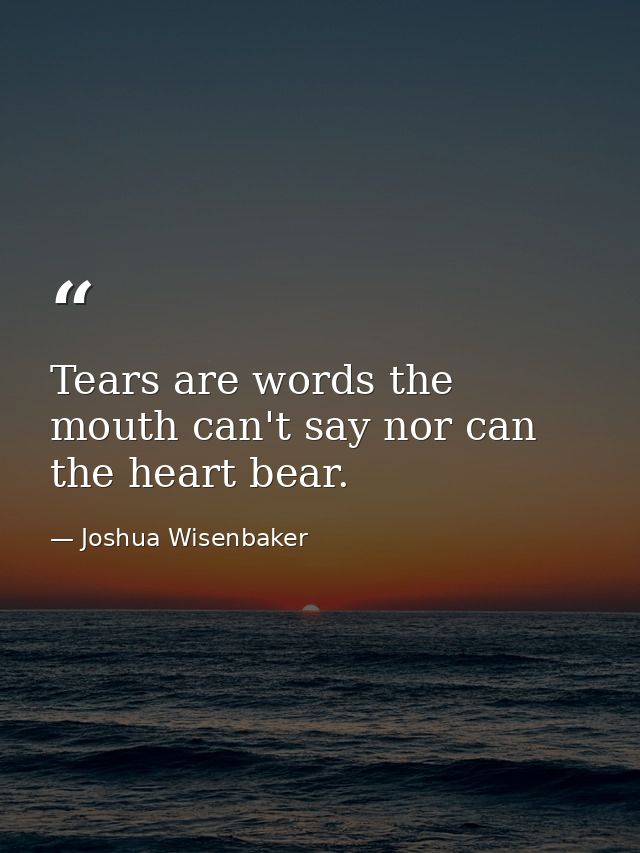 Tears are words the mouth can't say nor can the heart bear. — Joshua Wisenbaker