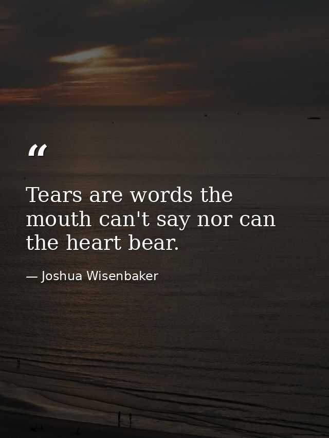 Tears are words the mouth can't say nor can the heart bear. — Joshua Wisenbaker
