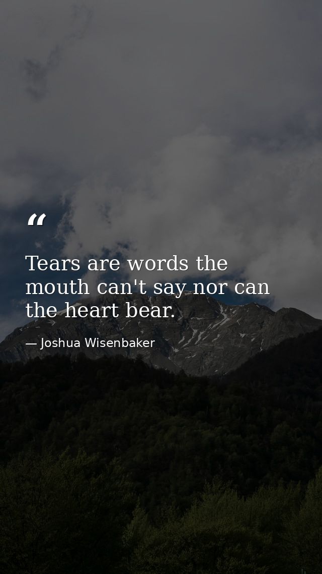 Tears are words the mouth can't say nor can the heart bear. — Joshua Wisenbaker