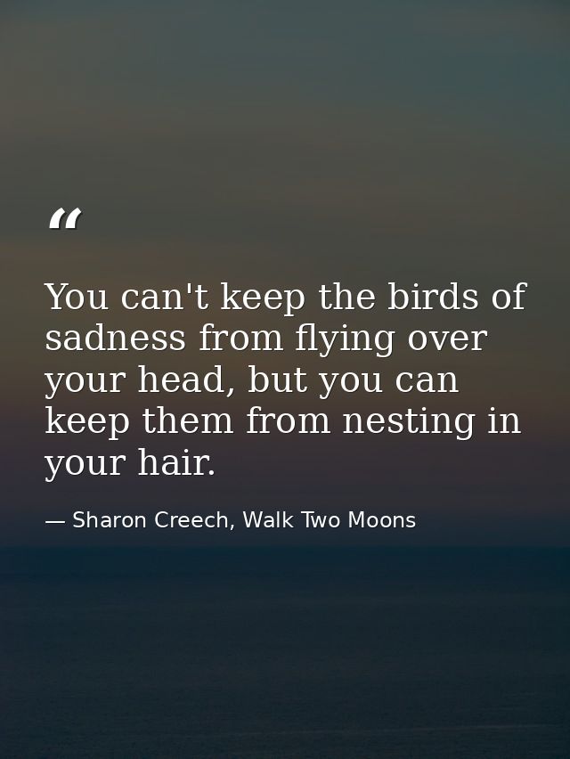 You can't keep the birds of sadness from flying over your head, but you can keep them from nesting in your hair. — Sharon Creech, Walk Two Moons