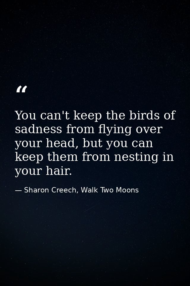 You can't keep the birds of sadness from flying over your head, but you can keep them from nesting in your hair. — Sharon Creech, Walk Two Moons
