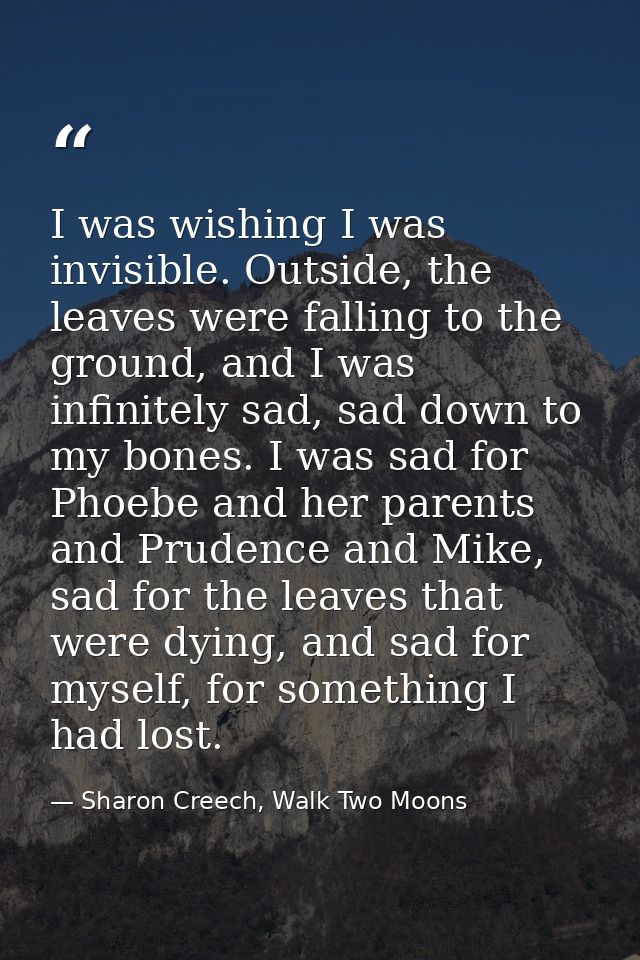 I was wishing I was invisible. Outside, the leaves were falling to the ground, and I was infinitely sad, sad down to my  — Sharon Creech, Walk Two Moons