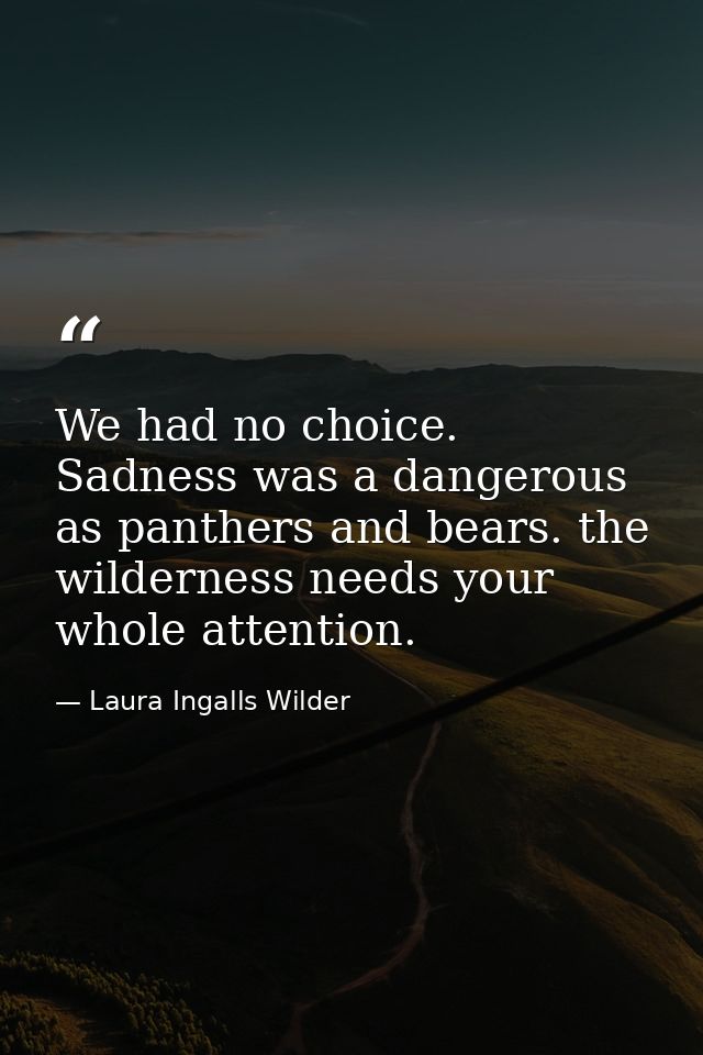 We had no choice. Sadness was a dangerous as panthers and bears. the wilderness needs your whole attention. — Laura Ingalls Wilder