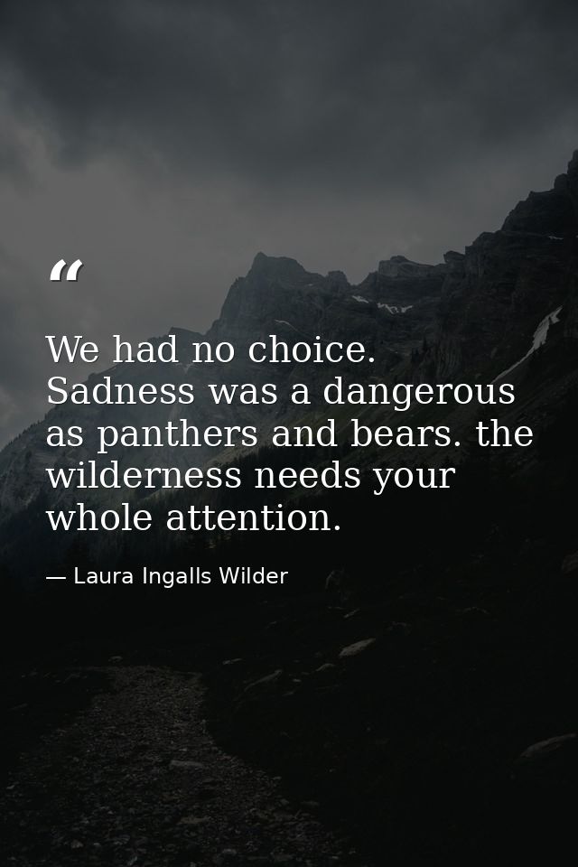 We had no choice. Sadness was a dangerous as panthers and bears. the wilderness needs your whole attention. — Laura Ingalls Wilder