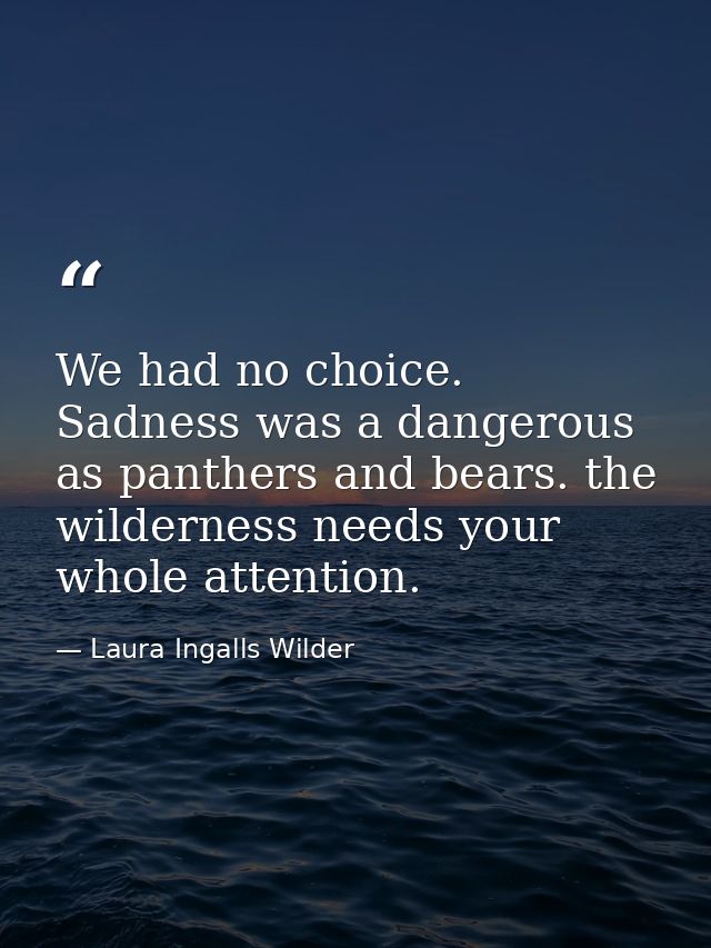 We had no choice. Sadness was a dangerous as panthers and bears. the wilderness needs your whole attention. — Laura Ingalls Wilder
