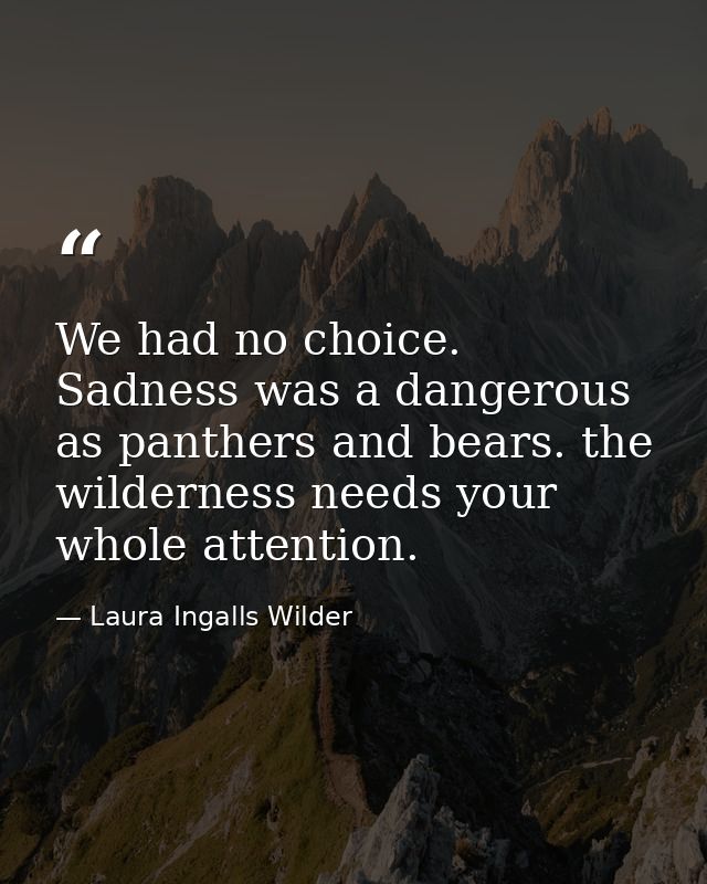 We had no choice. Sadness was a dangerous as panthers and bears. the wilderness needs your whole attention. — Laura Ingalls Wilder