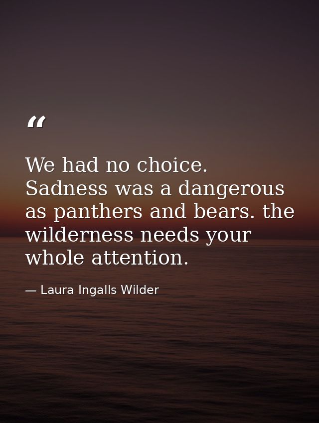 We had no choice. Sadness was a dangerous as panthers and bears. the wilderness needs your whole attention. — Laura Ingalls Wilder