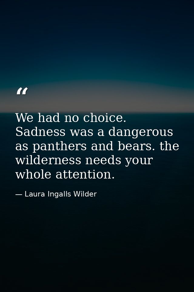 We had no choice. Sadness was a dangerous as panthers and bears. the wilderness needs your whole attention. — Laura Ingalls Wilder