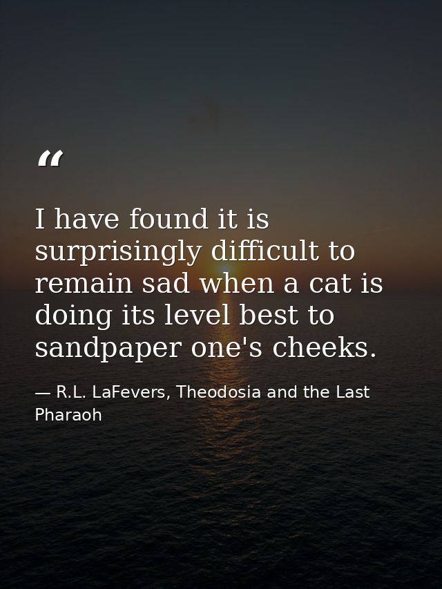 I have found it is surprisingly difficult to remain sad when a cat is doing its level best to sandpaper one's cheeks. — R.L. LaFevers, Theodosia and the Last Pharaoh