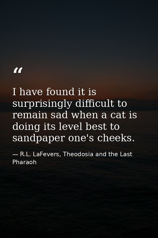I have found it is surprisingly difficult to remain sad when a cat is doing its level best to sandpaper one's cheeks. — R.L. LaFevers, Theodosia and the Last Pharaoh