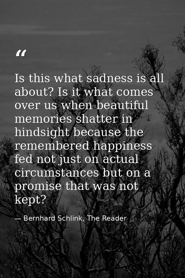 Is this what sadness is all about? Is it what comes over us when beautiful memories shatter in hindsight because the rem — Bernhard Schlink, The Reader