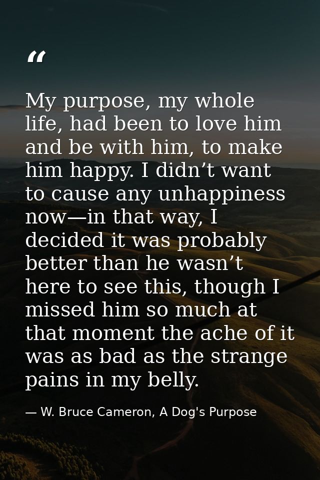 My purpose, my whole life, had been to love him and be with him, to make him happy. I didn’t want to cause any unhappine — W. Bruce Cameron, A Dog's Purpose