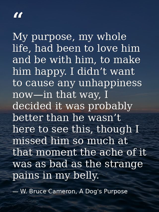 My purpose, my whole life, had been to love him and be with him, to make him happy. I didn’t want to cause any unhappine — W. Bruce Cameron, A Dog's Purpose