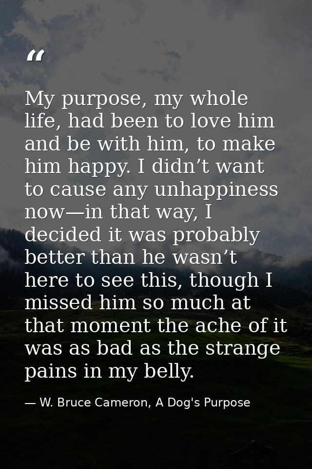 My purpose, my whole life, had been to love him and be with him, to make him happy. I didn’t want to cause any unhappine — W. Bruce Cameron, A Dog's Purpose