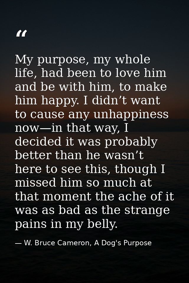 My purpose, my whole life, had been to love him and be with him, to make him happy. I didn’t want to cause any unhappine — W. Bruce Cameron, A Dog's Purpose