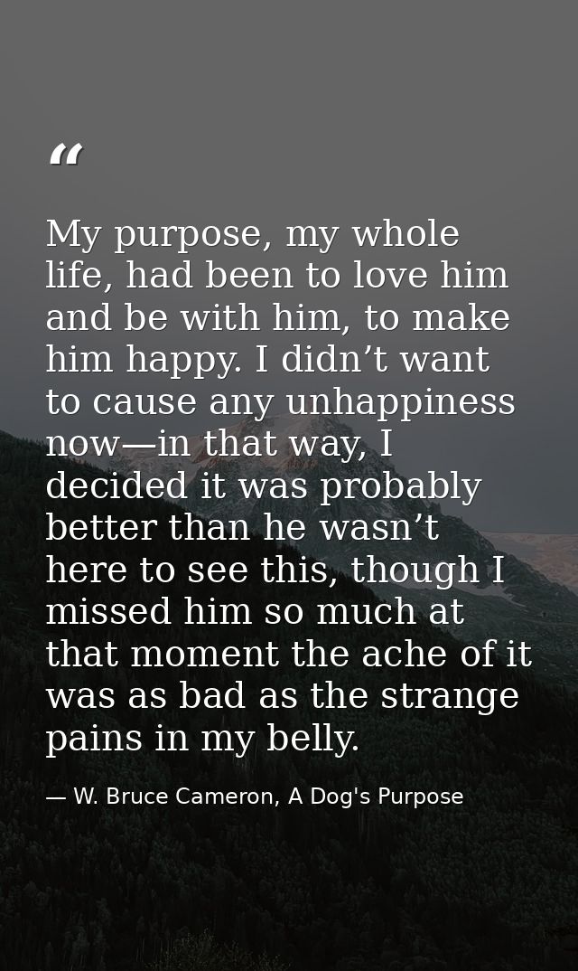 My purpose, my whole life, had been to love him and be with him, to make him happy. I didn’t want to cause any unhappine — W. Bruce Cameron, A Dog's Purpose