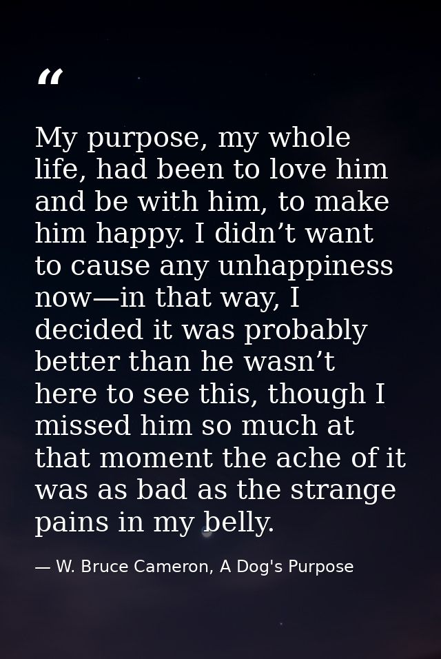 My purpose, my whole life, had been to love him and be with him, to make him happy. I didn’t want to cause any unhappine — W. Bruce Cameron, A Dog's Purpose