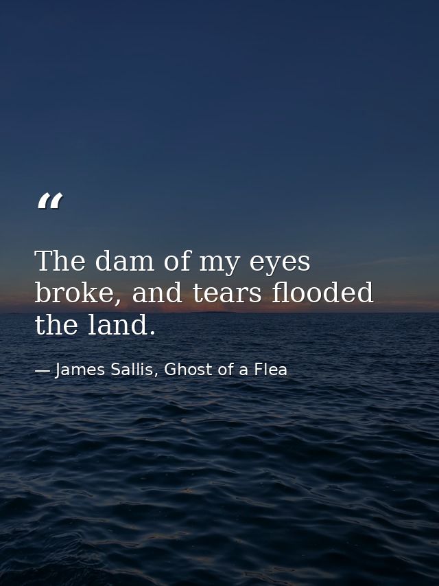 The dam of my eyes broke, and tears flooded the land. — James Sallis, Ghost of a Flea
