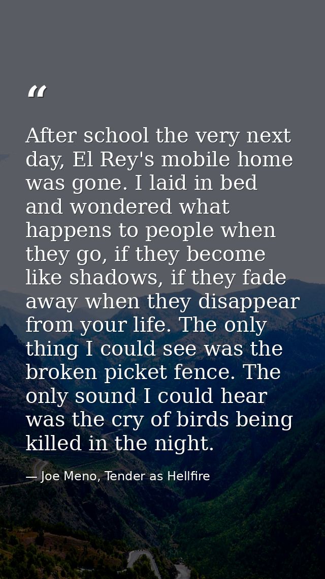 After school the very next day, El Rey's mobile home was gone. I laid in bed and wondered what happens to people when th — Joe Meno, Tender as Hellfire