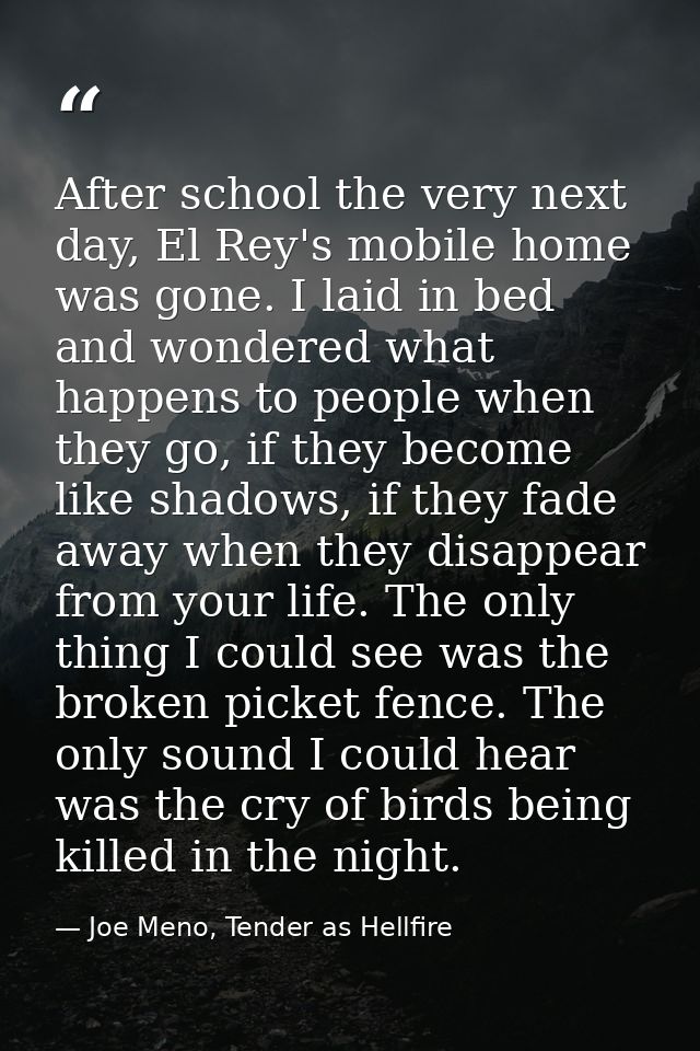 After school the very next day, El Rey's mobile home was gone. I laid in bed and wondered what happens to people when th — Joe Meno, Tender as Hellfire