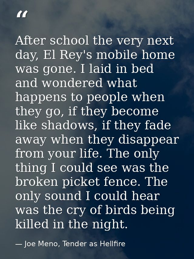 After school the very next day, El Rey's mobile home was gone. I laid in bed and wondered what happens to people when th — Joe Meno, Tender as Hellfire