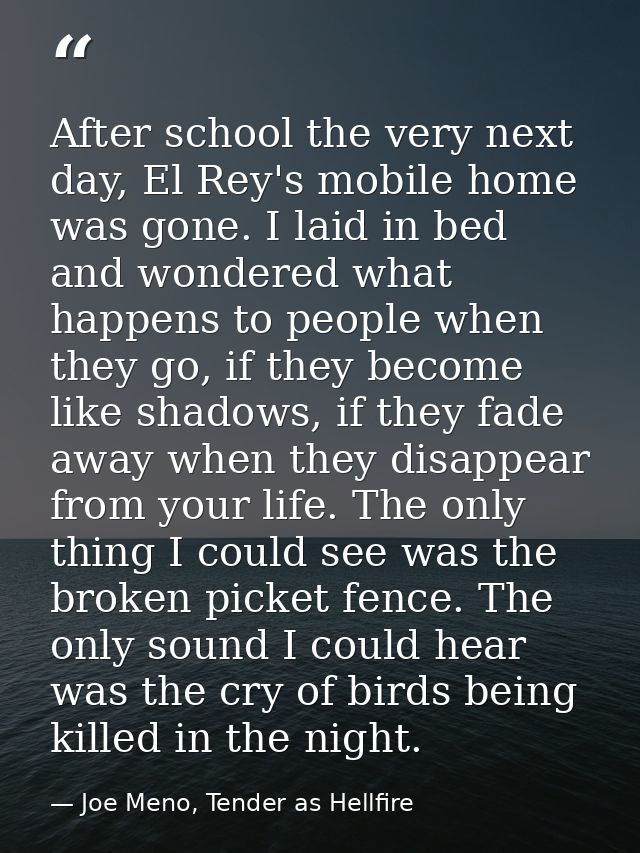 After school the very next day, El Rey's mobile home was gone. I laid in bed and wondered what happens to people when th — Joe Meno, Tender as Hellfire