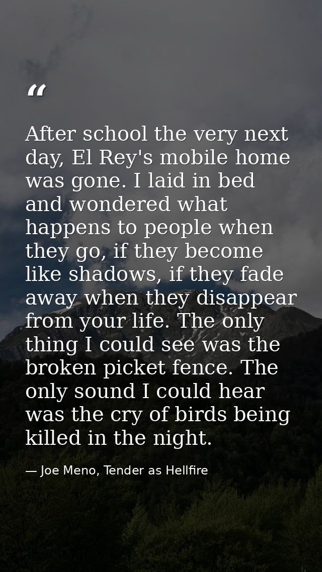 After school the very next day, El Rey's mobile home was gone. I laid in bed and wondered what happens to people when th — Joe Meno, Tender as Hellfire