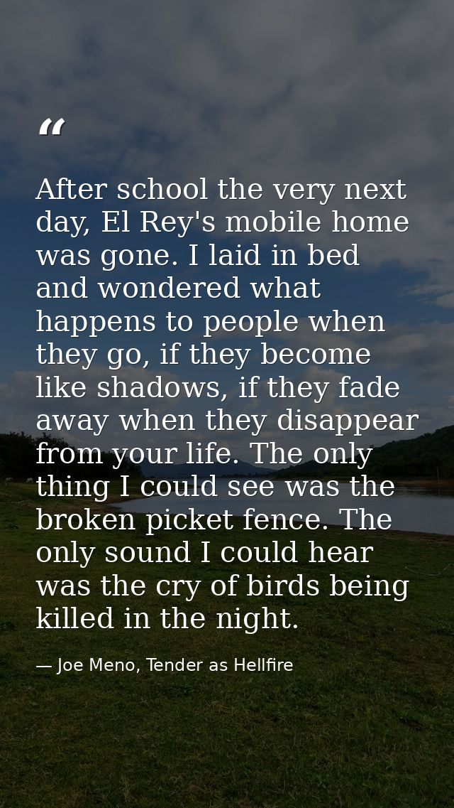 After school the very next day, El Rey's mobile home was gone. I laid in bed and wondered what happens to people when th — Joe Meno, Tender as Hellfire