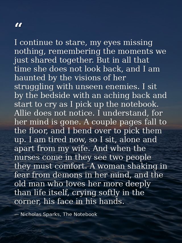 I continue to stare, my eyes missing nothing, remembering the moments we just shared together. But in all that time she  — Nicholas Sparks, The Notebook