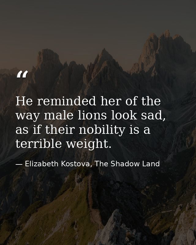 He reminded her of the way male lions look sad, as if their nobility is a terrible weight. — Elizabeth Kostova, The Shadow Land