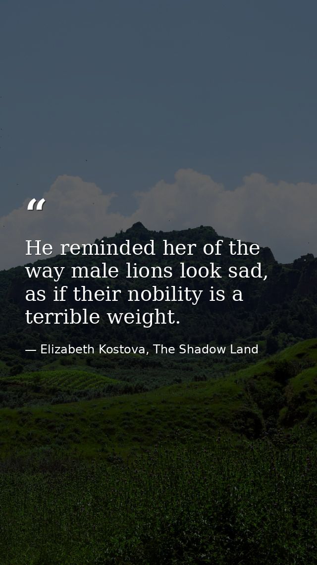 He reminded her of the way male lions look sad, as if their nobility is a terrible weight. — Elizabeth Kostova, The Shadow Land