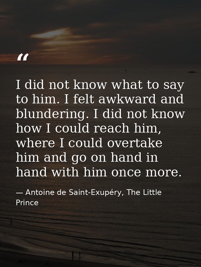 I did not know what to say to him. I felt awkward and blundering. I did not know how I could reach him, where I could ov — Antoine de Saint-Exupéry, The Little Prince