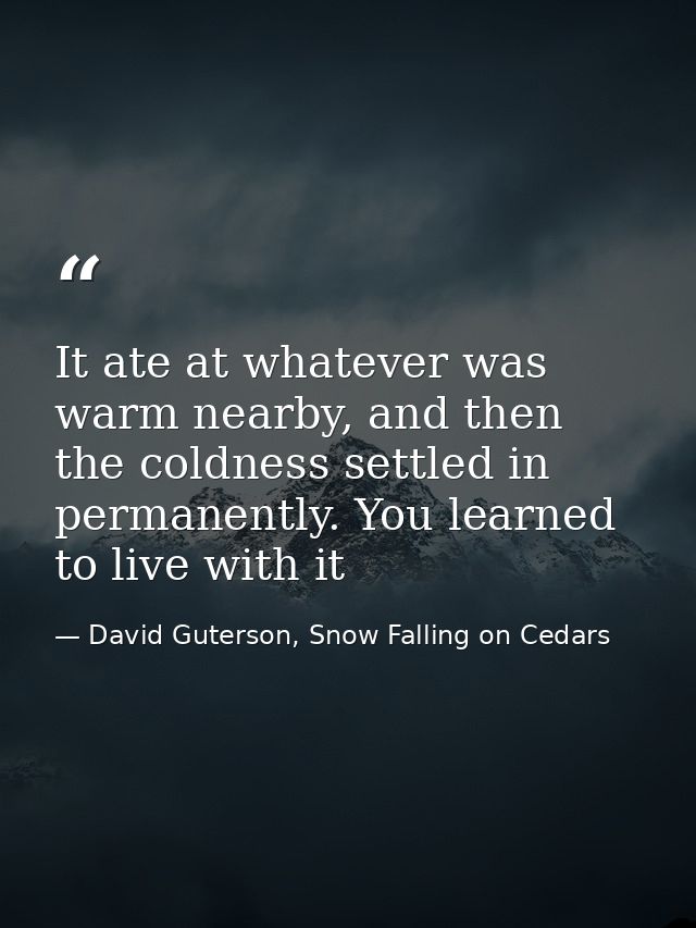 It ate at whatever was warm nearby, and then the coldness settled in permanently. You learned to live with it — David Guterson, Snow Falling on Cedars