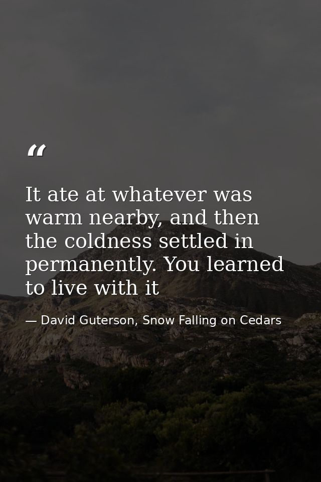 It ate at whatever was warm nearby, and then the coldness settled in permanently. You learned to live with it — David Guterson, Snow Falling on Cedars