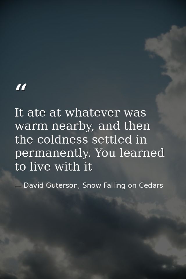 It ate at whatever was warm nearby, and then the coldness settled in permanently. You learned to live with it — David Guterson, Snow Falling on Cedars