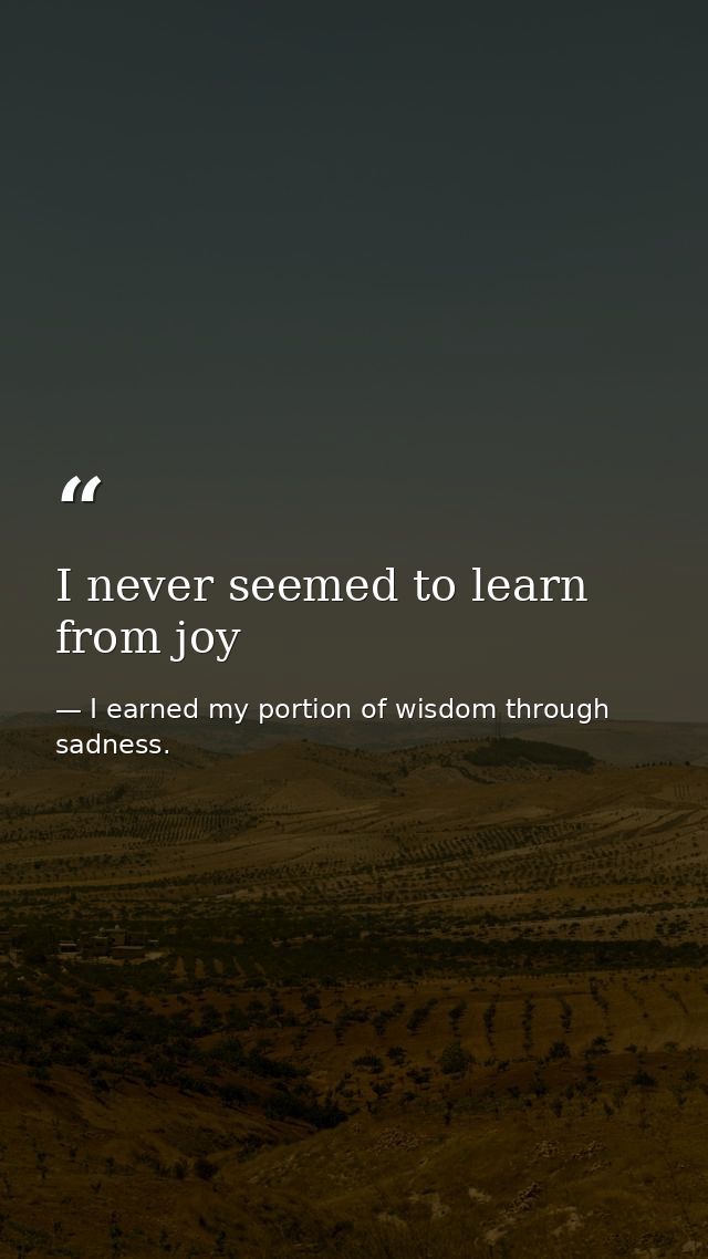 I never seemed to learn from joy — I earned my portion of wisdom through sadness.